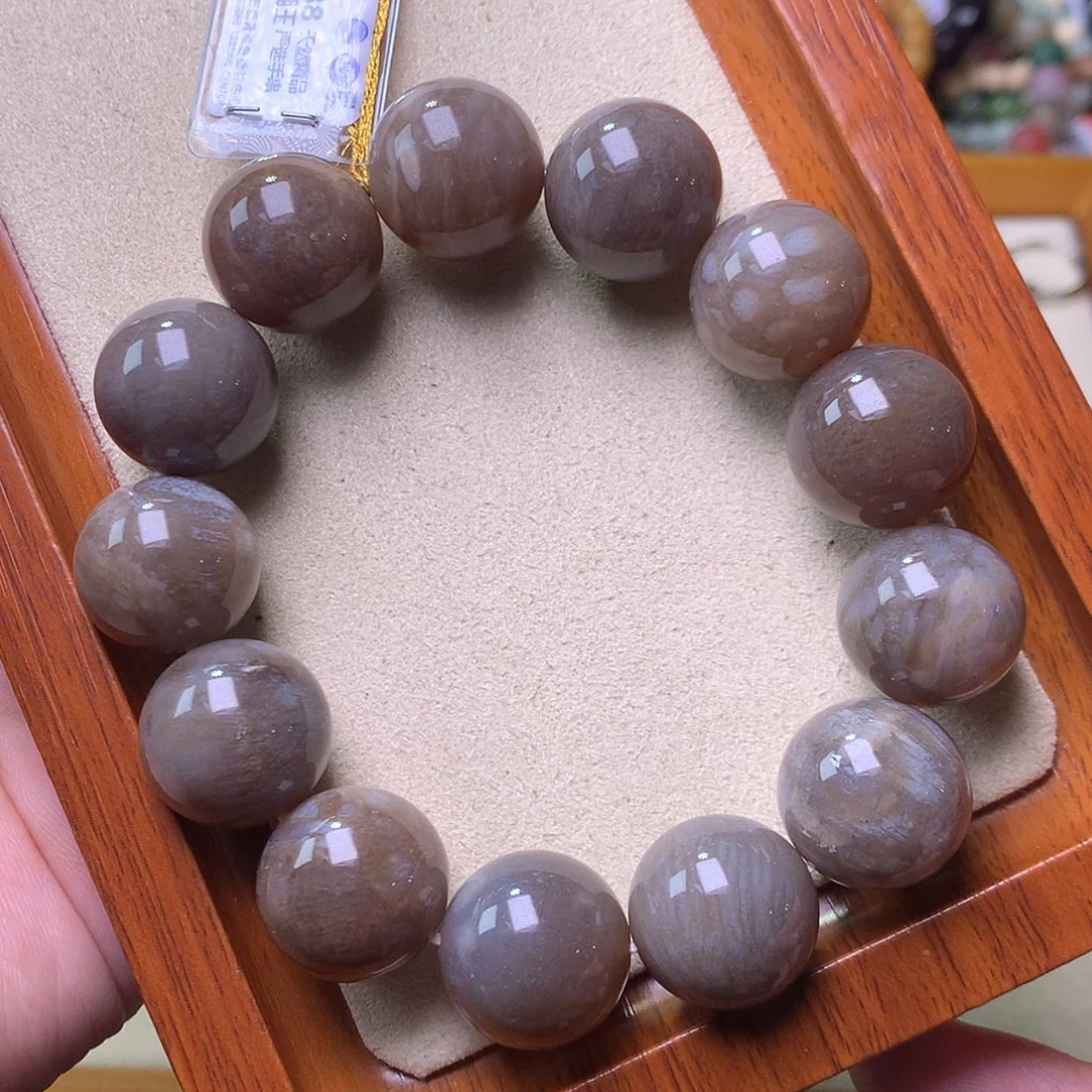 【闪购商品】硅化珊瑚（珊瑚玉）手镯未镶嵌T13（17咪