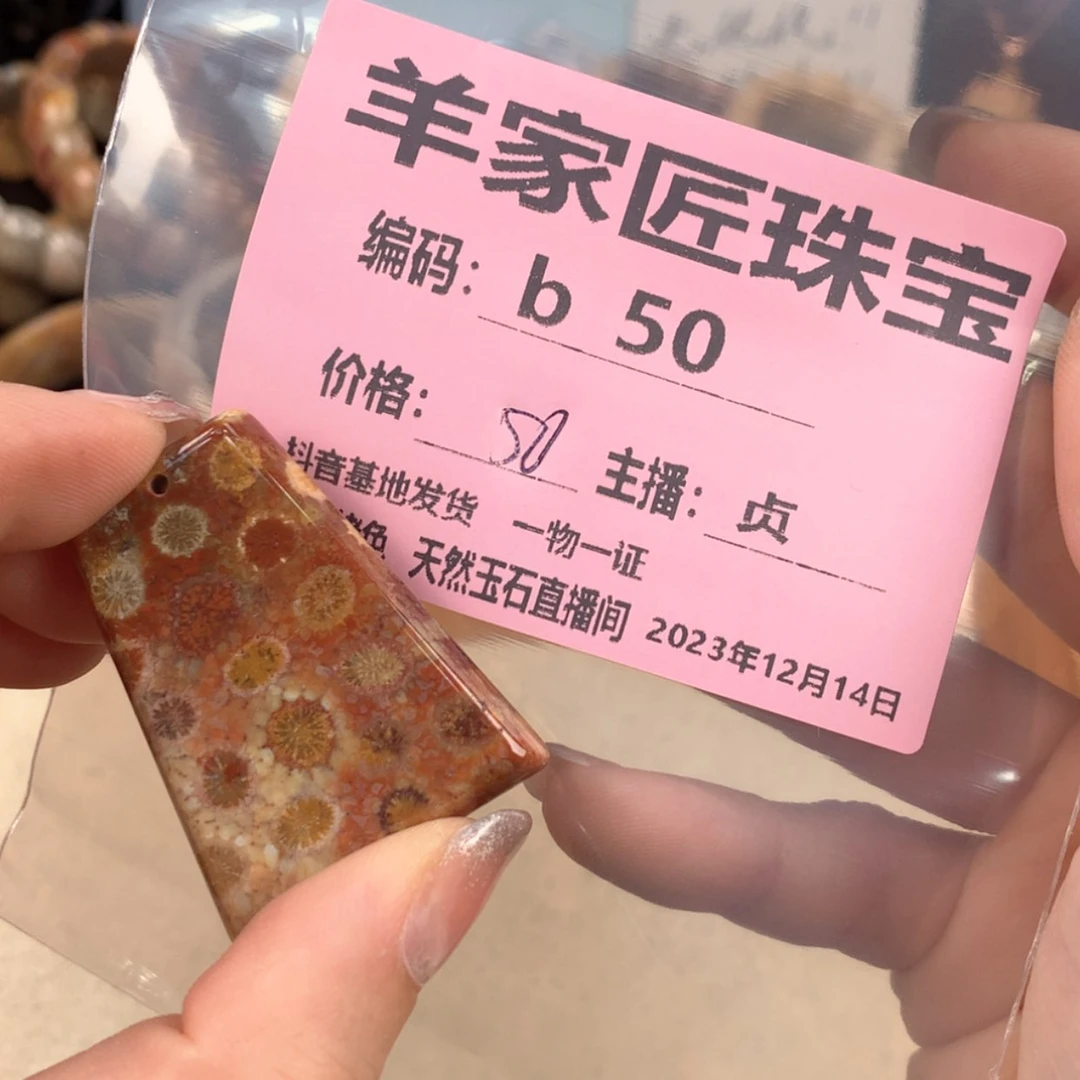 【闪购商品】硅化珊瑚(珊瑚玉)颈饰未镶嵌S***iB50