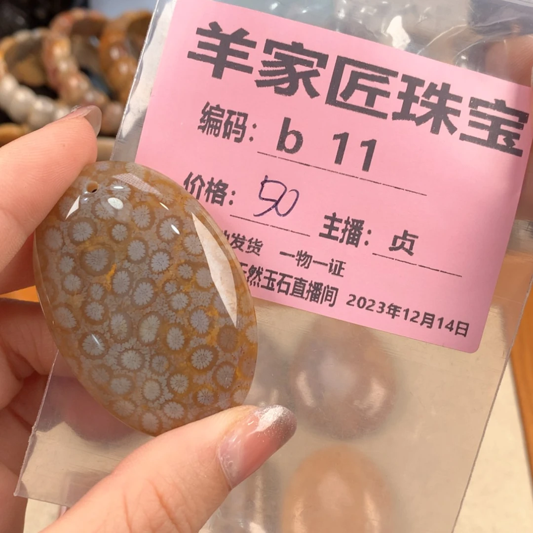 【闪购商品】硅化珊瑚（珊瑚玉）颈饰未镶嵌迷***人B11