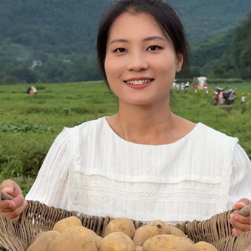 四川 高山 空山镇富硒土豆