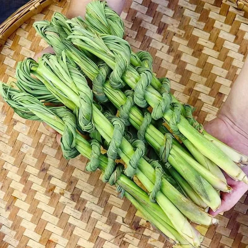 云南德宏特有香料 新鲜香茅草 傣族调料香茅草泰国冬阴功汤食材