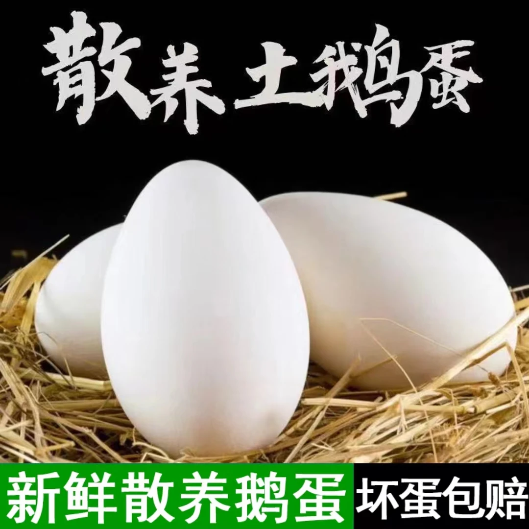 微山湖农家大鹅蛋，12枚装，破损包赔