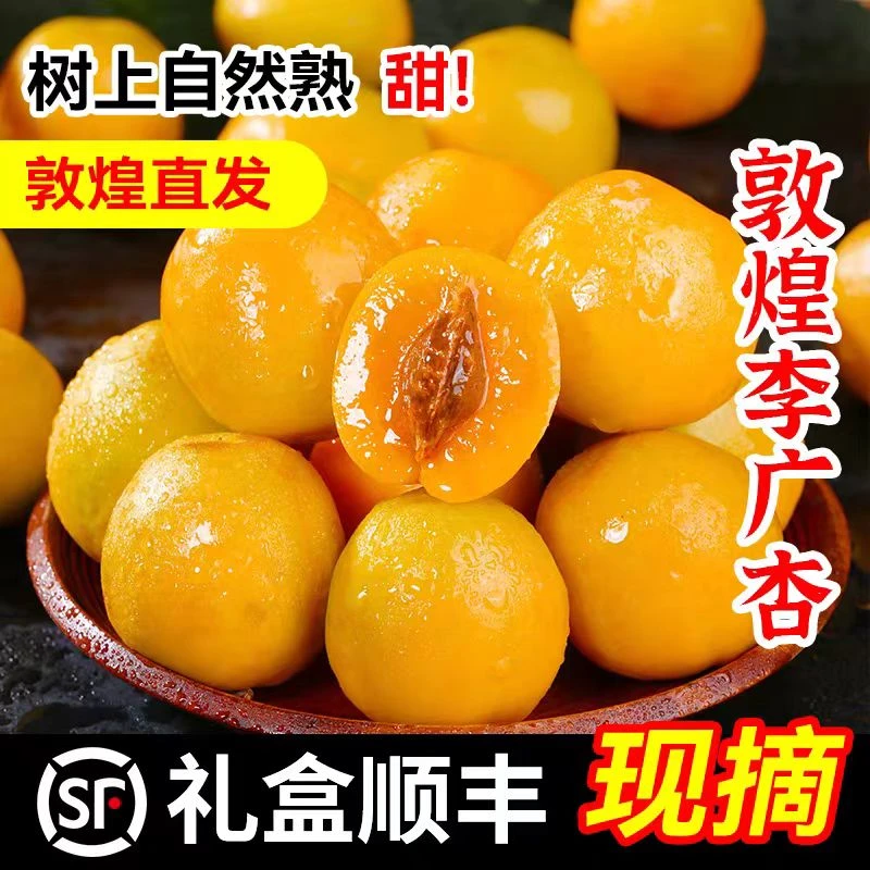 正宗甘肃敦煌李广杏新鲜水果当季香甜油杏子蜜甜多汁现摘现发顺丰