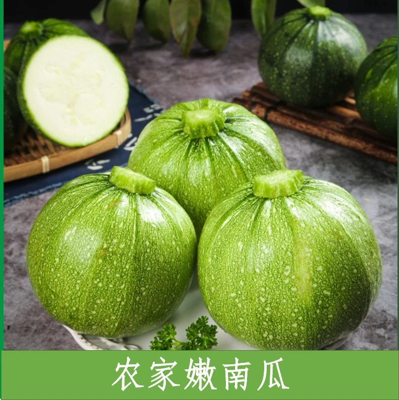 【小嫩南瓜】农家嫩南瓜小南瓜现采现发3/5斤