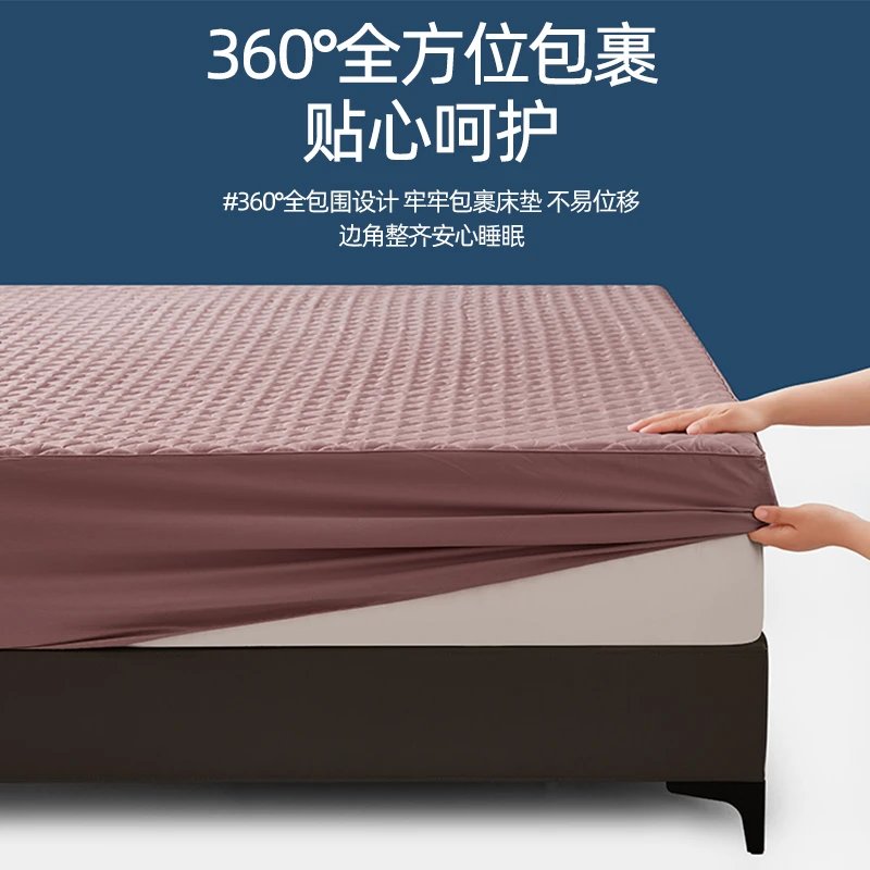 床笠-A类100支新疆长绒棉抗菌加厚夹棉大豆纤维隔脏透气床笠