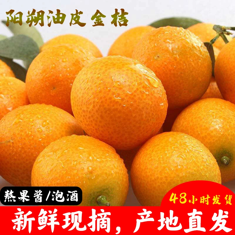 广西酸甜精选油皮麻皮金桔小金桔鲜果新鲜现摘3斤5斤金钱桔金钱橘