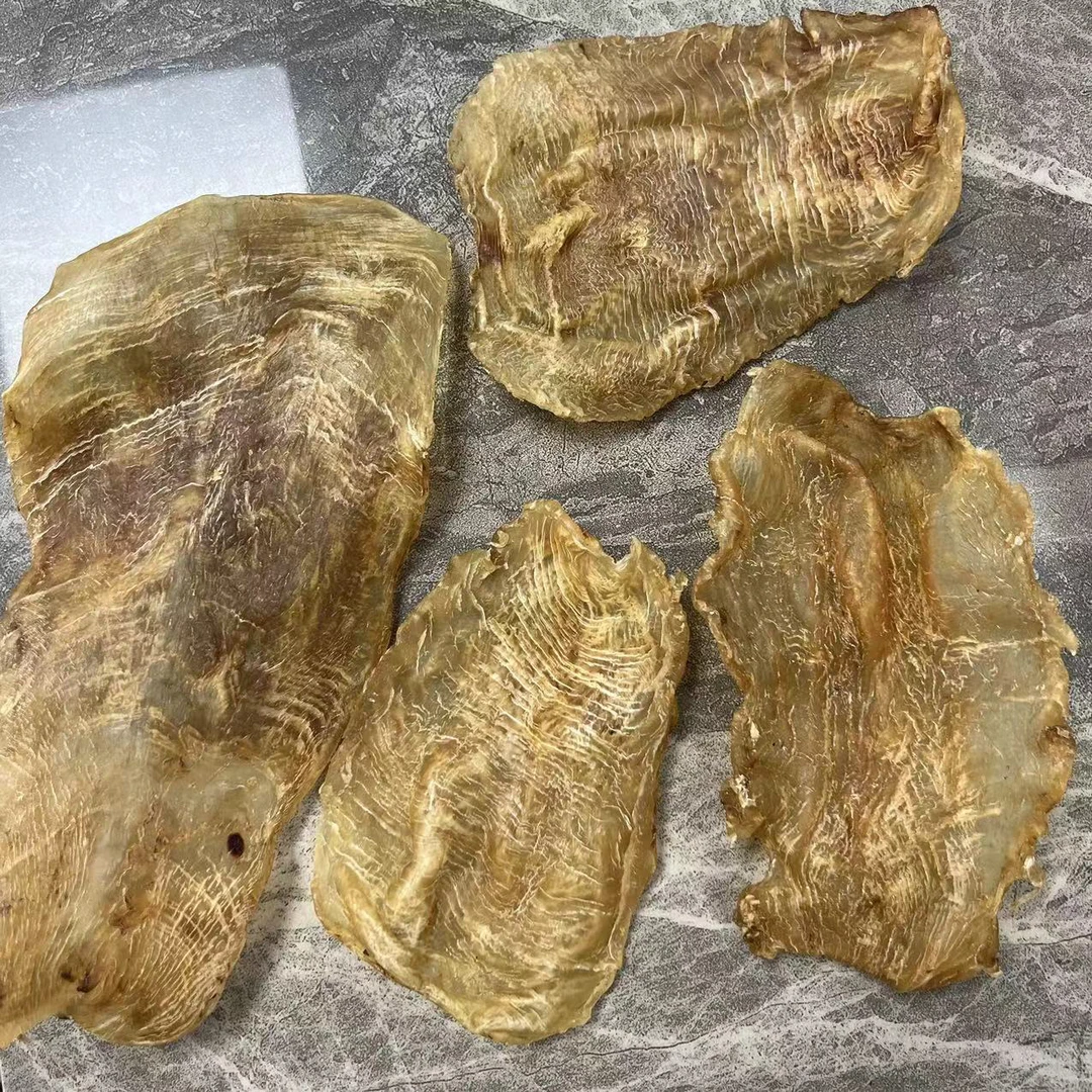 精选干货斗鱼鱼肚