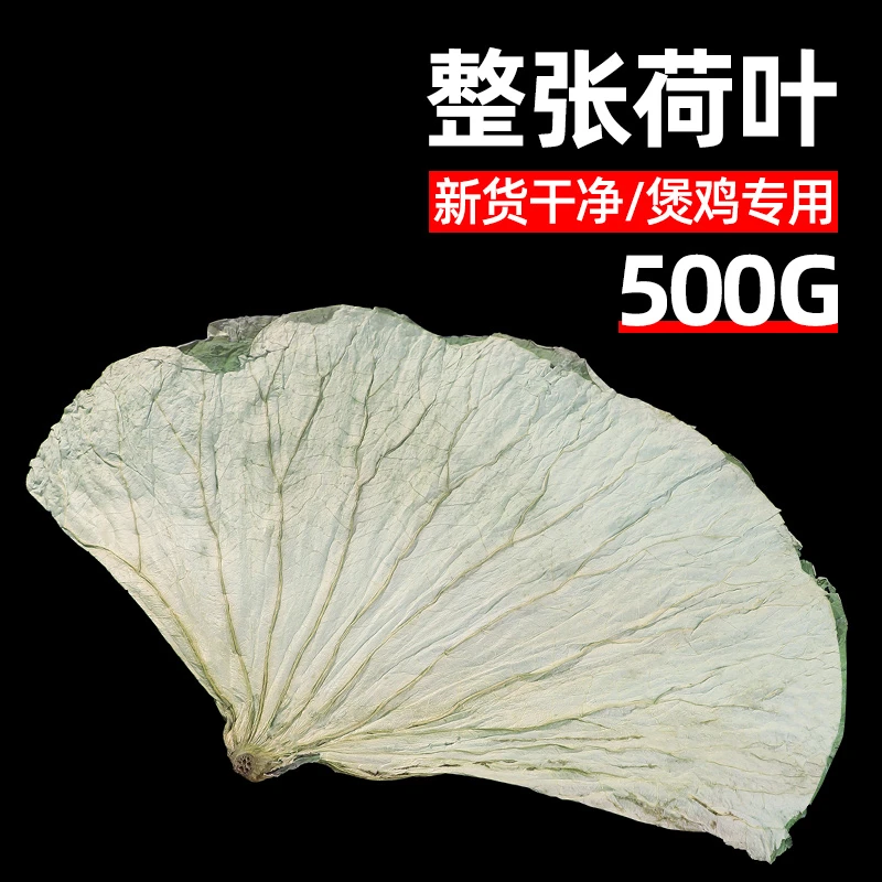 荷叶整张批发新鲜500g正品泡水熬粥的糯米鸡专用大片干荷叶
