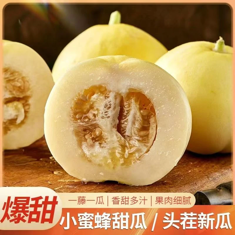 【热卖甜瓜】山东头茬小蜜蜂甜瓜当季水果小蜜罐香瓜星甜20蜜瓜脆甜