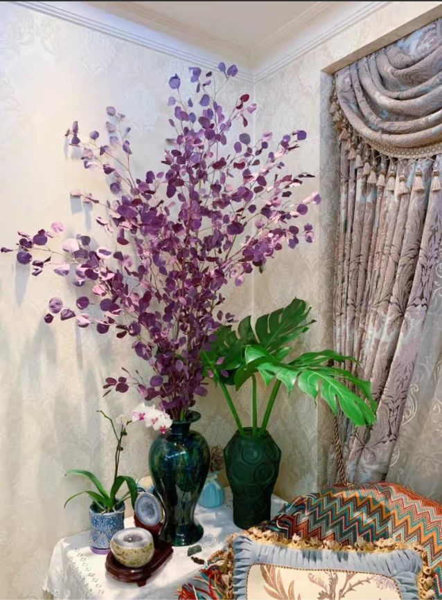 进口天然圆叶尤加利叶子轻奢样板房橱窗装饰永生花苹果叶顺丰包邮