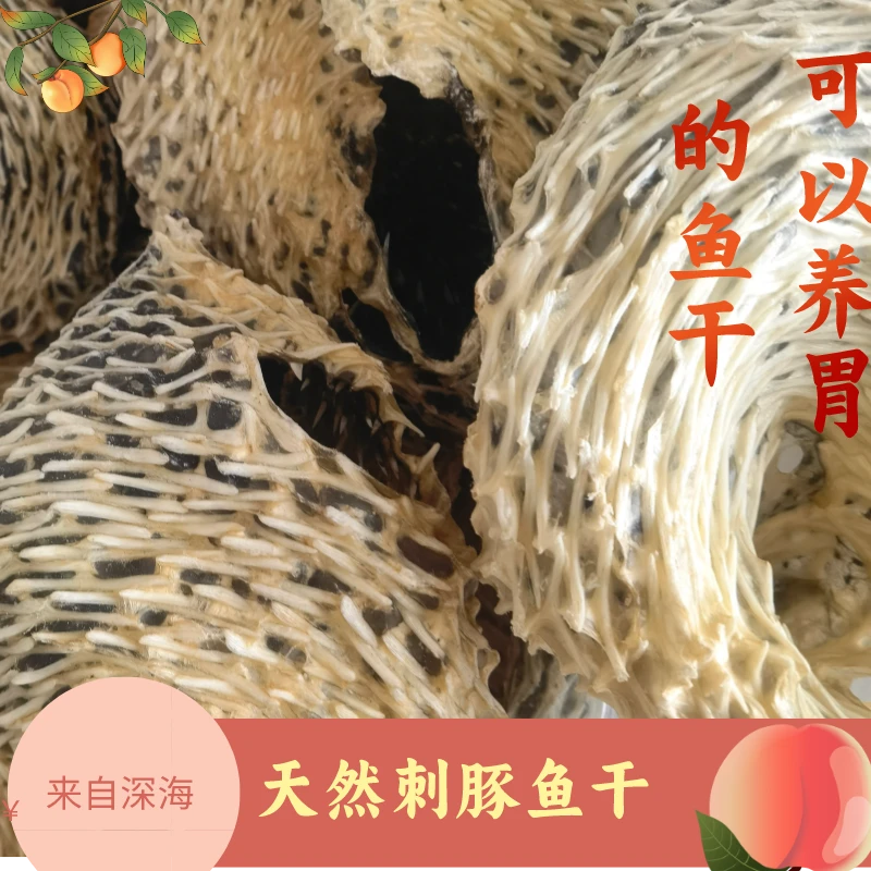 广东湛江海捕刺豚干刺龟皮干包邮