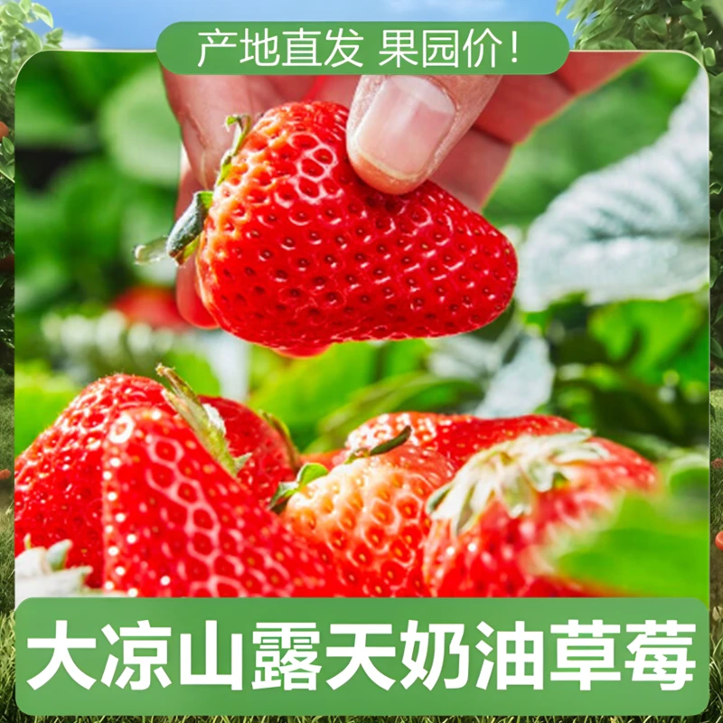 【精选中果四盒/300g一盒】精美礼盒京东空运包邮到家