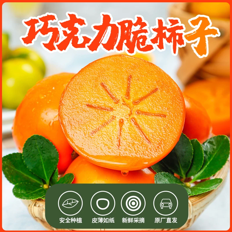 【削皮即食】山西阳丰巧克力甜脆柿子4.5斤新鲜采摘甜柿子脆甜柿子
