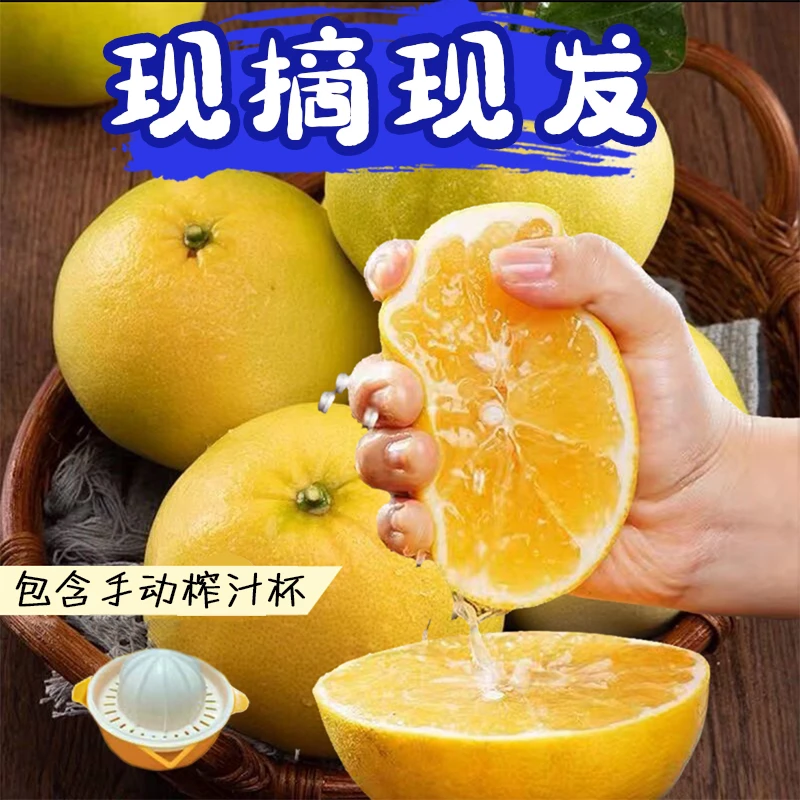 福建爆汁黄金葡萄柚当季水果清甜可口4.5-5斤彩箱x