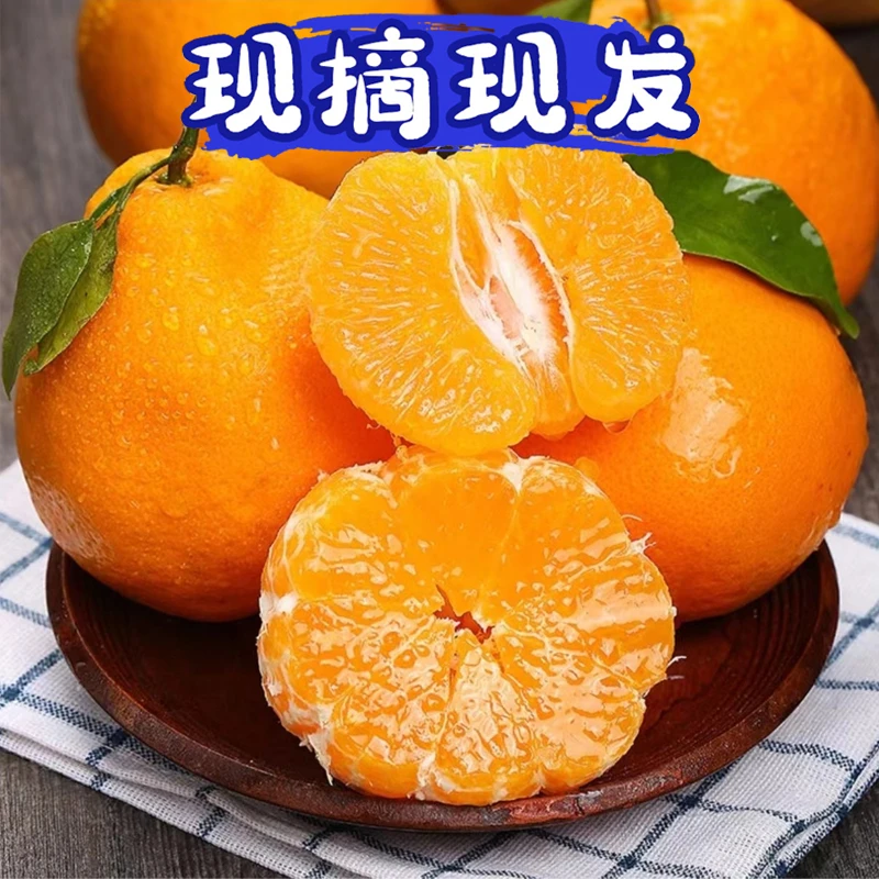 【现摘现发】四川耙耙柑汁水充足细腻无渣产地直发4.5-5斤坏果包赔