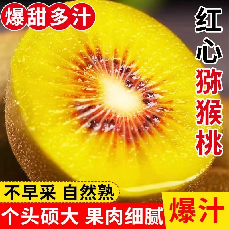 四川蒲江红心猕猴桃新鲜奇异果大果整箱水果狝猴桃时令礼盒弥猴桃