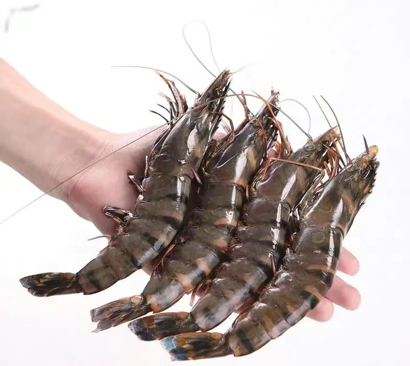 【张哈哈‖新疆包邮】黑虎虾大号斑节虾肉厚壳薄纯干无冰鲜甜紧实
