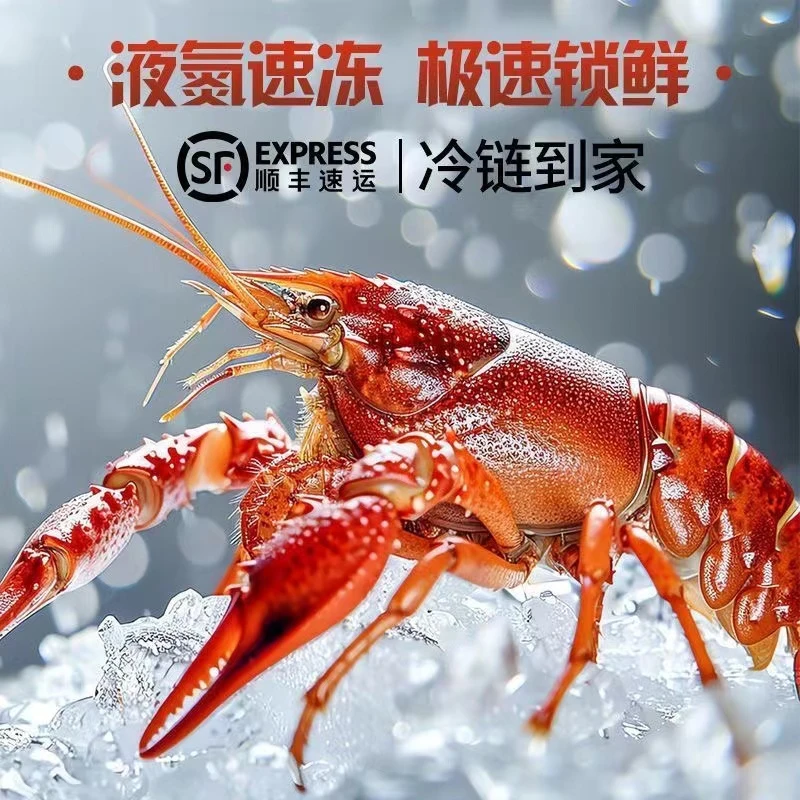 浪海情麻辣/精选蒜蓉小龙虾700g/盒*5速冻锁鲜麻辣鲜香饱满速食