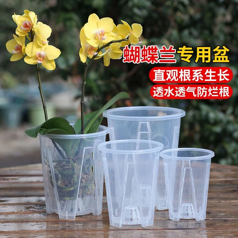 透明青山盆控根花盆蝴蝶兰专用盆塑料花盆透气家用海芋花烛控根盆