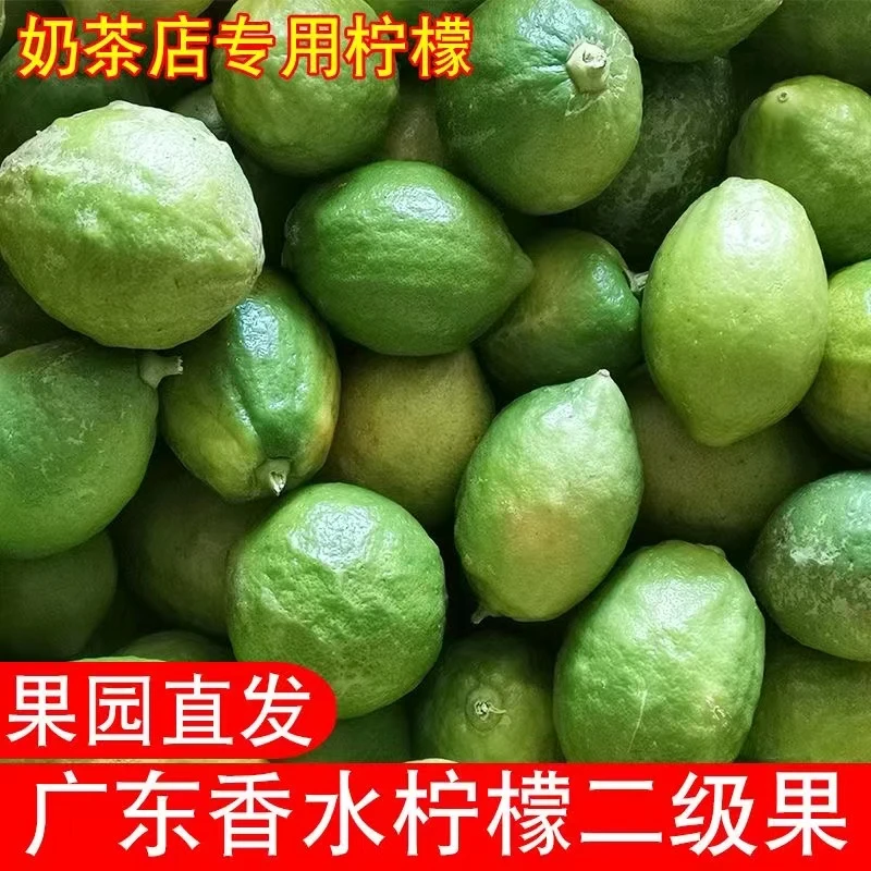 广东香水柠檬1斤装  5-7个