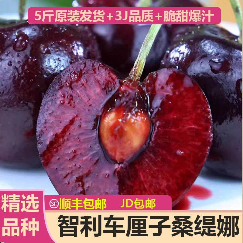 【顺丰 JD特快】智利车厘子桑缇娜爆浆樱桃J/JJ/JJJ原箱5斤 ZH