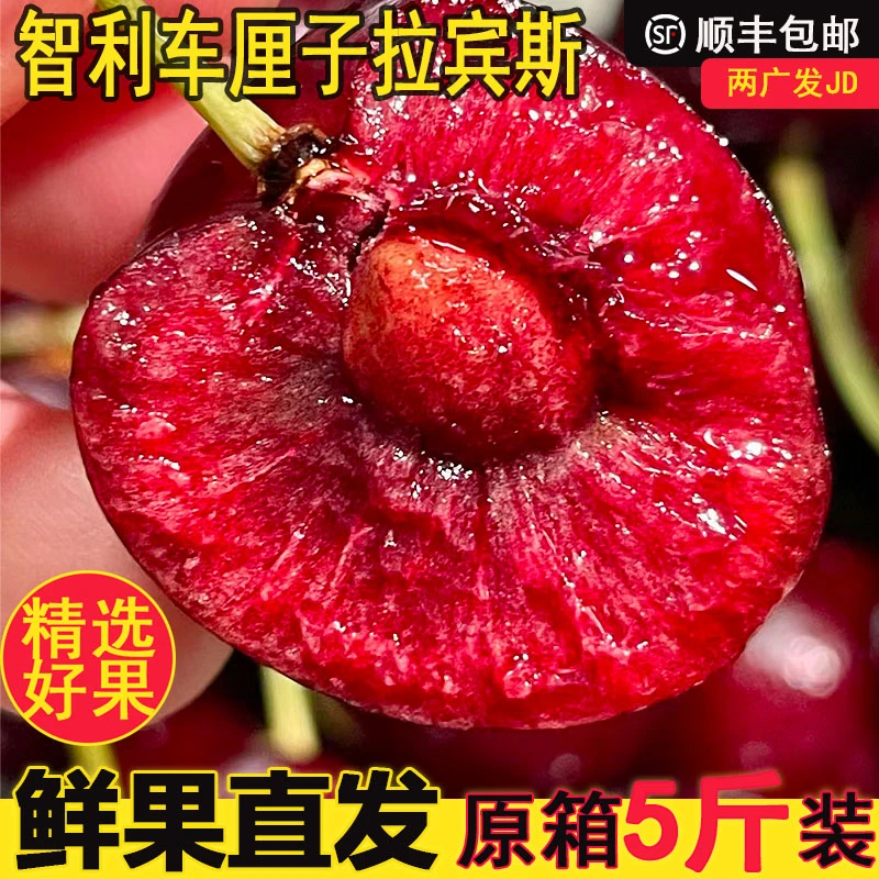 金子【京东顺丰包邮】智利车厘子现货拉宾斯1J/2J/3J/4J5斤原箱发货