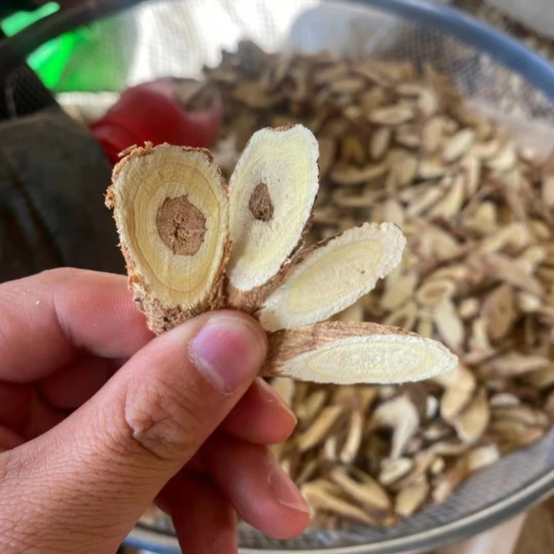 甘肃深山野黄芪主根片
