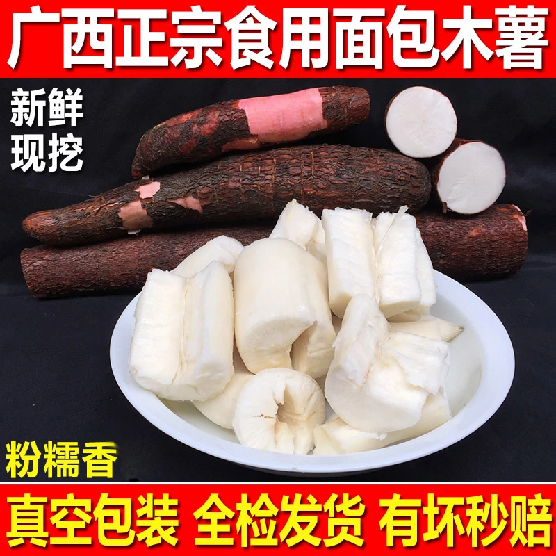 广西新鲜现挖黄肉黄心木薯水果奶茶店糖水羹种白肉板栗面包木薯苗