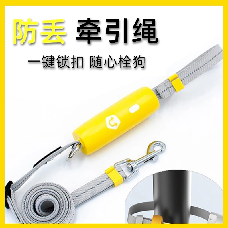 宠物用品狗狗牵引绳弹力防爆冲遛狗中大型狗绳弹力反光舒适拴狗绳