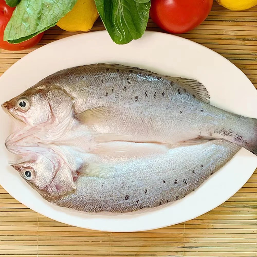 【1条】活鱼新鲜杀海鲈鱼去鳞去鳃去内脏急冻保鲜 250-300克/条