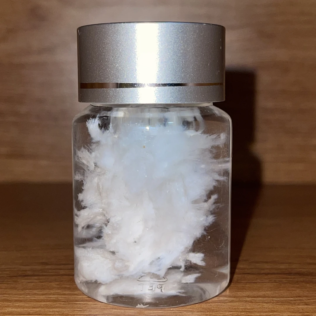 水灵惠雪白肉灵芝5g小罐装体验款