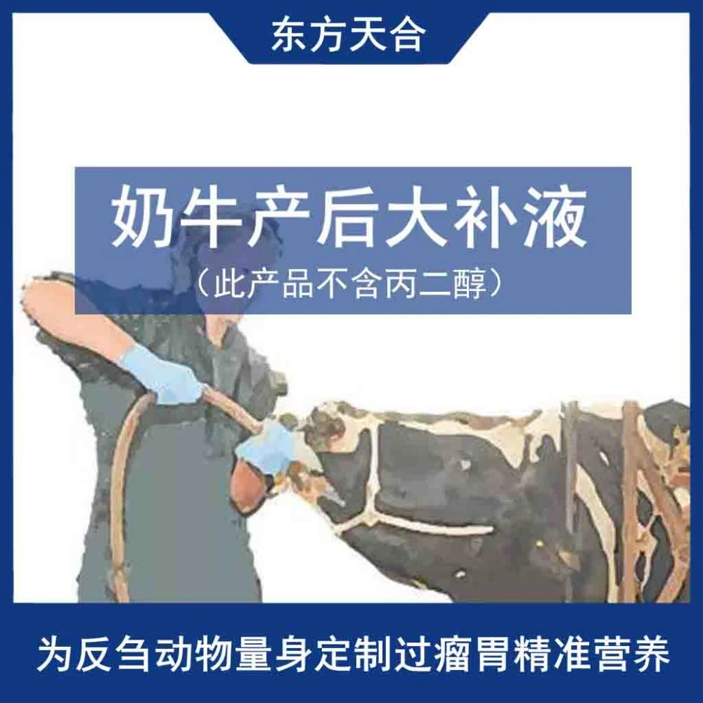 【奶牛产后大补液】快速补钙预防酮病脂肪肝 促进采食体况恢复