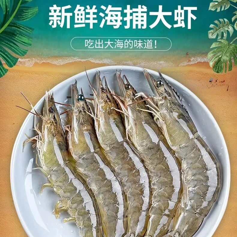 【阿珍推荐】盐冻海水大虾13-16厘米/只 净重4斤 约60-70只 连云港