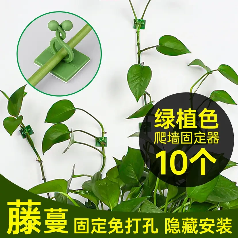 花卡夹子绿萝固定器可拆卸无痕藤本月季爬墙植物绿萝藤隐形绿植夹