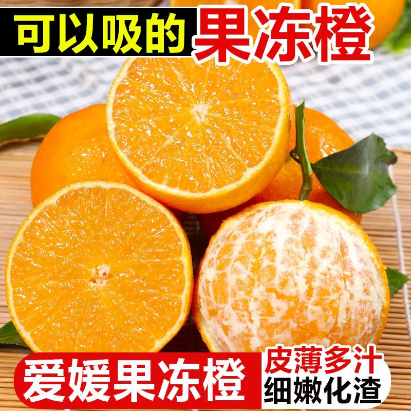 【产地直发】正宗四川眉山38号爱媛果冻橙现摘现发新鲜爆甜多汁嫩爽