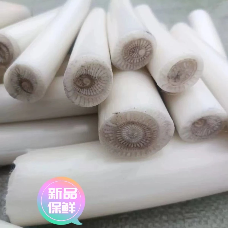 【极速发货】云南广西现摘现发新鲜天然野生芭蕉心香蕉杆新鲜茎心
