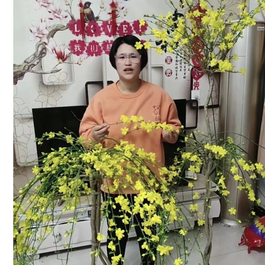 探春花迎春花种植基地盆栽盆景花卉别墅庭院花卉花期长美观观花