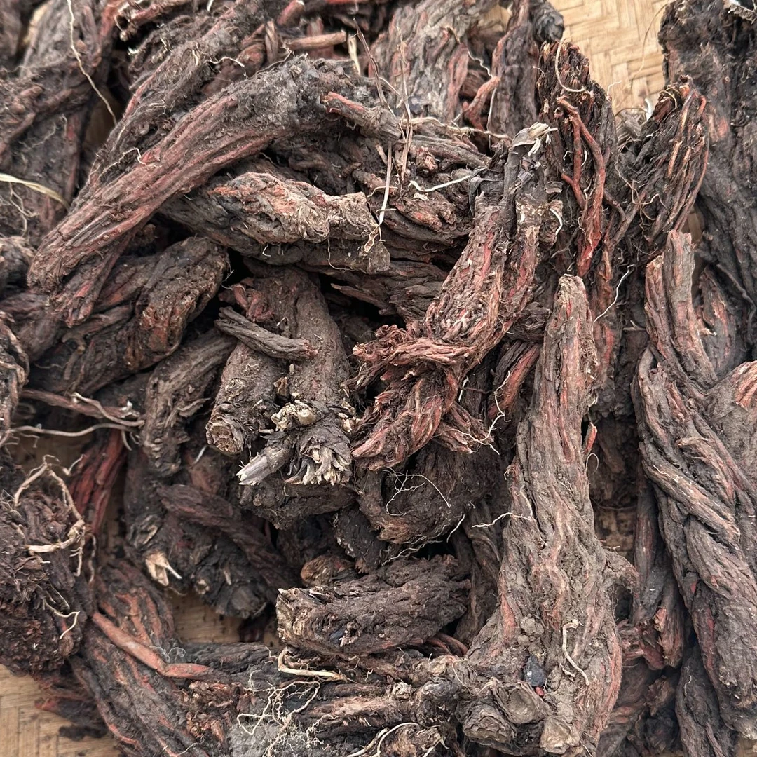 【小花山货】现收【波密藏丹参】