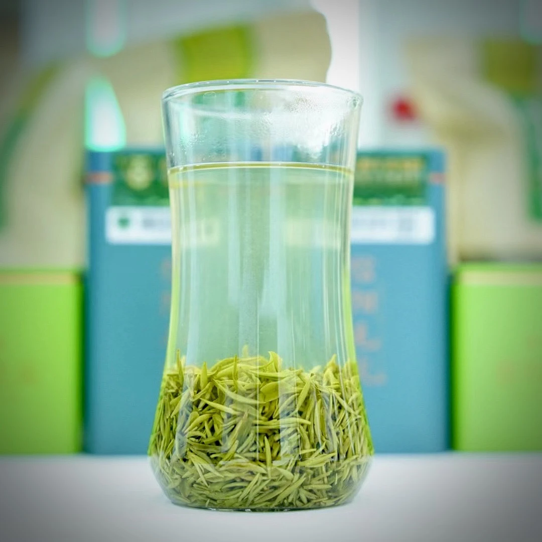 信阳毛尖浉河港何家寨明前小芽2024新茶