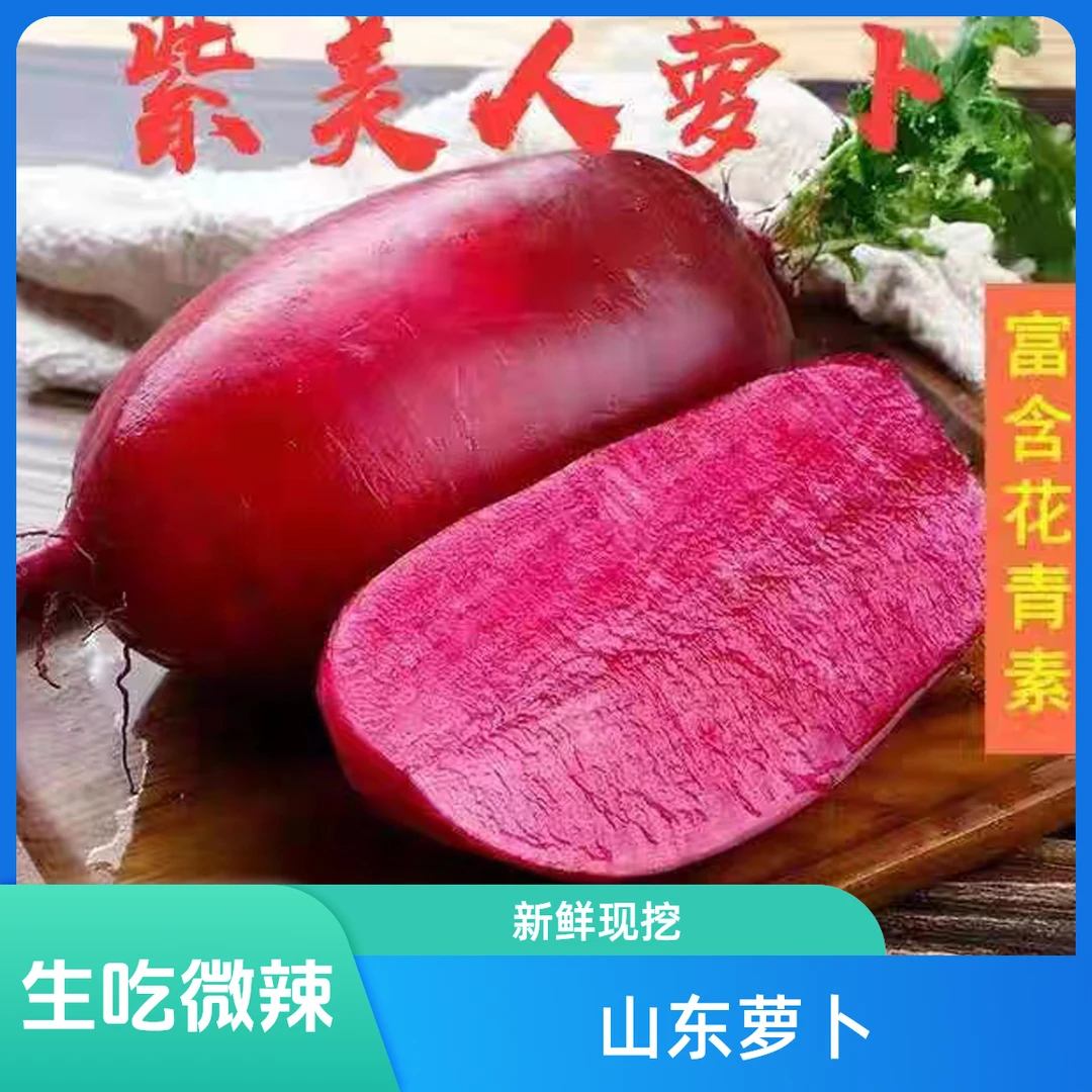 山东紫美人萝卜凤梨萝卜紫皮紫心辣水果萝卜新鲜现挖泡菜雕刻萝卜