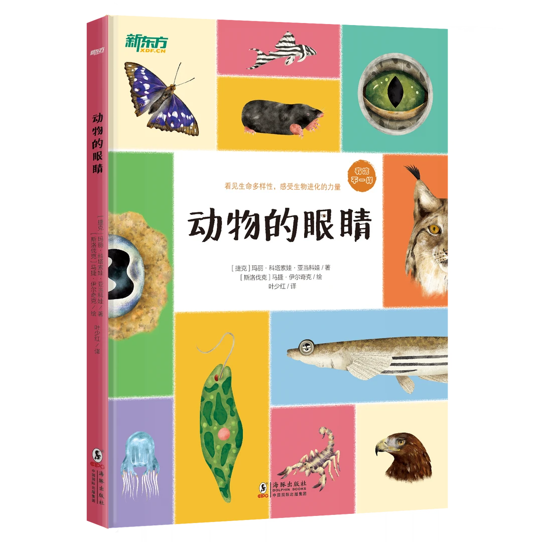 有啥不一样系列 动物的眼睛