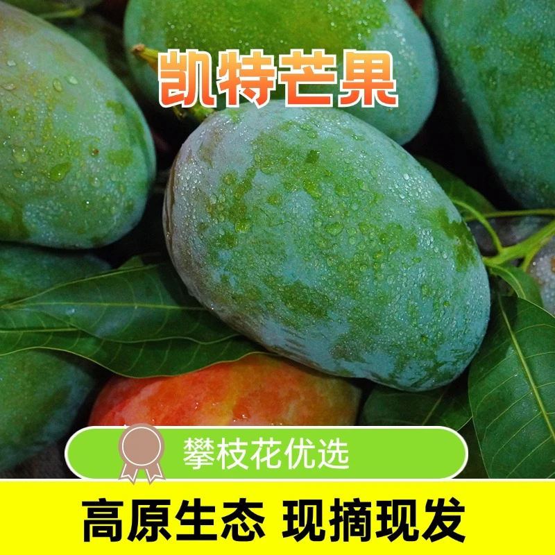 【千千鲜果】正宗四川攀枝花凯特芒果现摘现发核薄鲜甜多汁