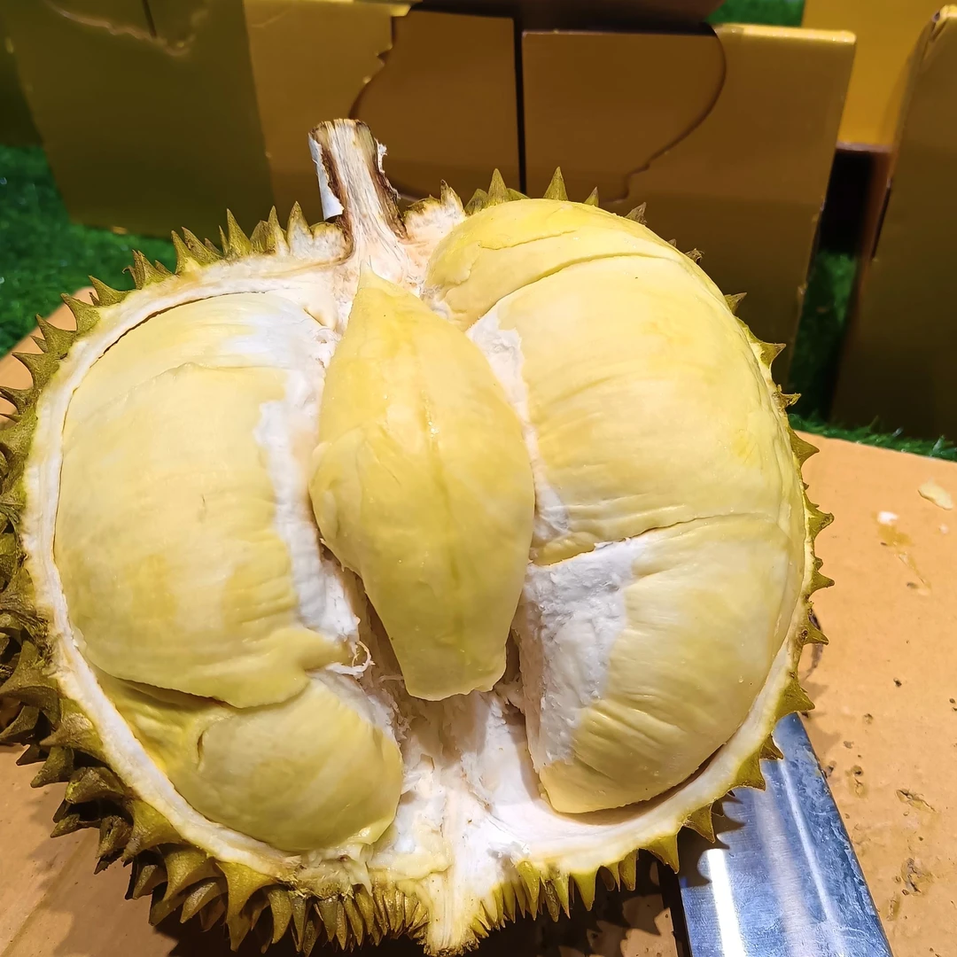新鲜整果泰国金枕榴莲约1500g-4000g一果一拍（核小）榴莲小时达金枕泰国