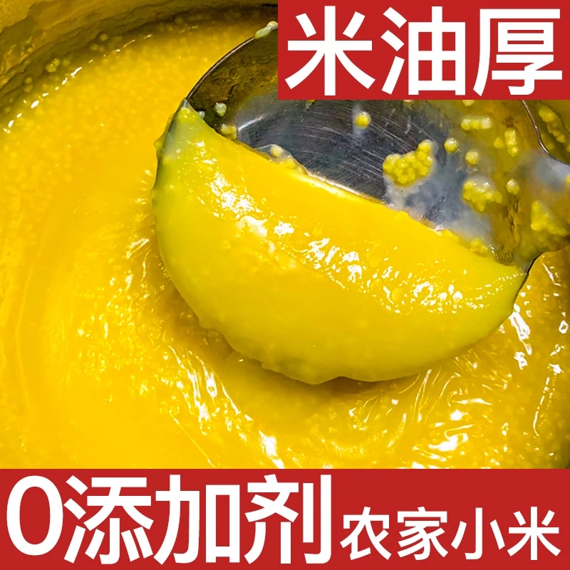 2024年新黄小米粗粮糯粘稠月子粥5斤优质香醇饱满金黄