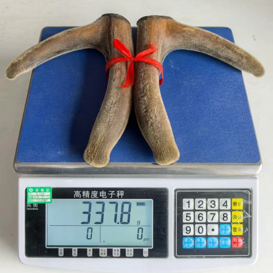 东北鹿乡鹿茸枝【代客打粉】