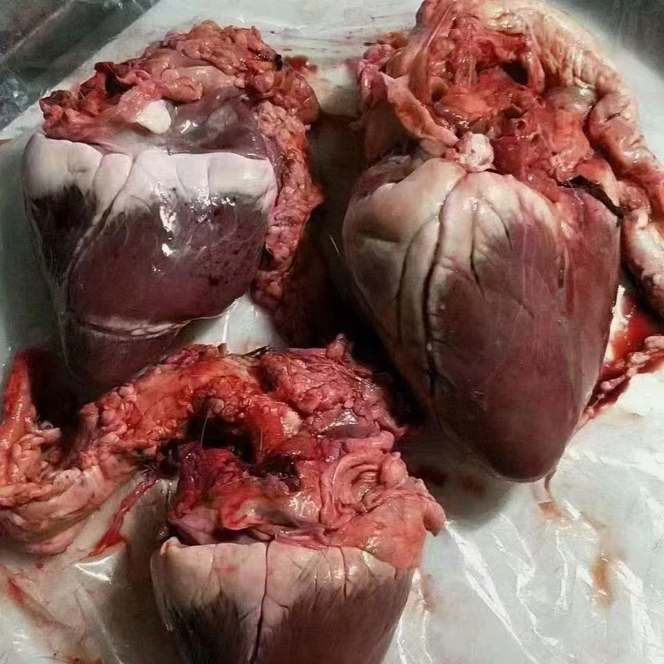 东北鹿乡干 鲜鹿心