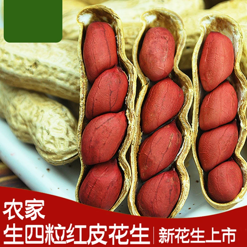 24年新货红皮花生米正宗东北特产四粒原味生吃炒熟花生仁零食坚果