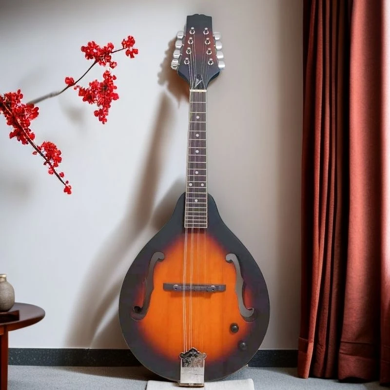 西洋乐器八弦琴曼陀铃电声曼陀林实木琴体扎木弦琴藏族吉他乐器