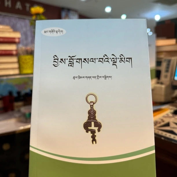 藏文入门教材 藏文零基础教材