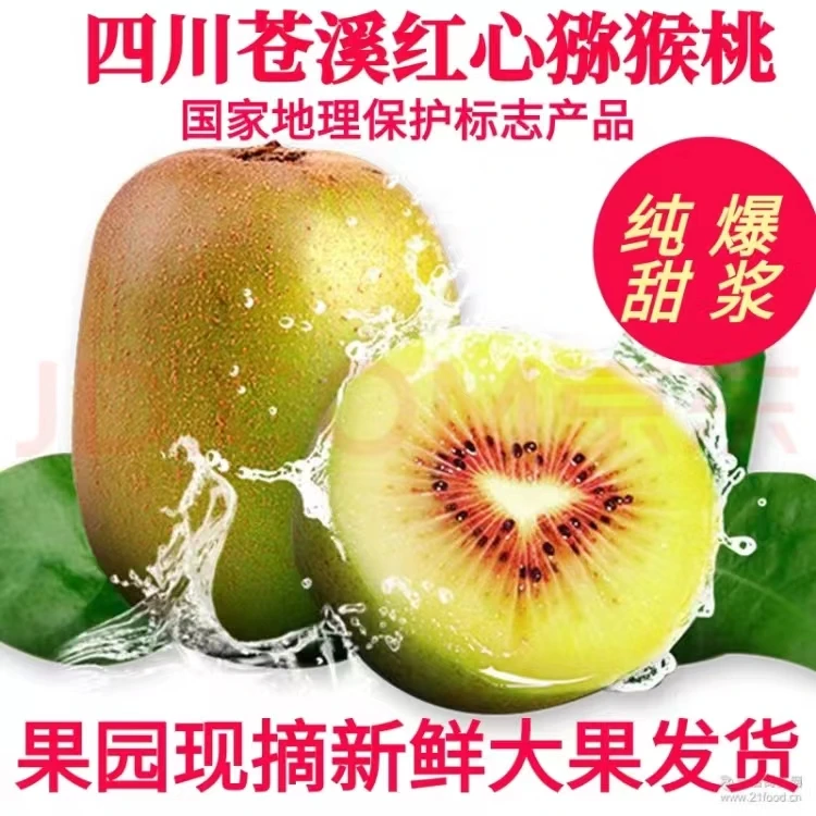 苍溪红心猕猴桃【主播专属】正宗四川红心奇异果桃纯甜当季水果礼盒